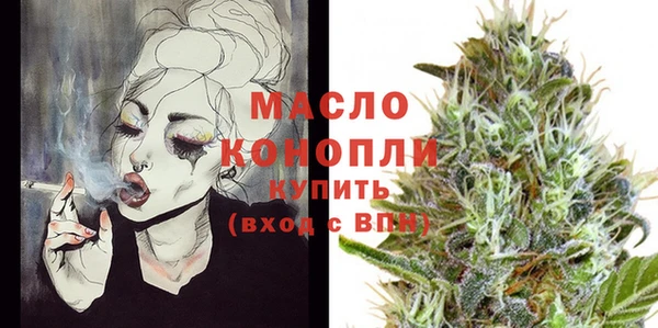 сатива Сатка