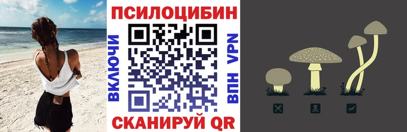 Псилоцибиновые грибы прущие грибы  купить закладку  Староминская 